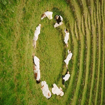 A cover of "MidSummer Solsticio 🌞" cluster. The owner is ninjaheartclub. The cluster consists of 51 elements.