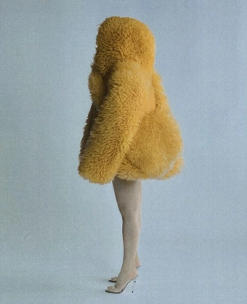 A cover of "Portrait wool" cluster. The owner is johnlucyy. The cluster consists of 10 elements.