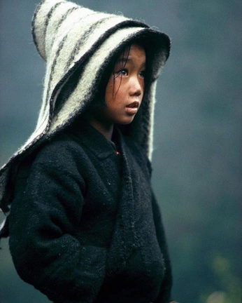 A cover of "Natural" cluster. The owner is qwaszx. The cluster consists of 1 element.