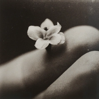 A cover of "Monochrome" cluster. The owner is tannagibbons. The cluster consists of 3 elements.