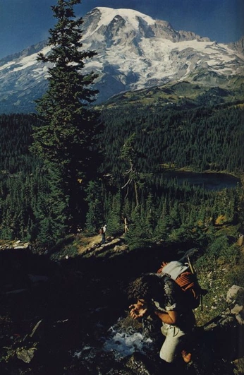 A cover of "Outdoors Optimism" cluster. The owner is metalrabbits. The cluster consists of 32 elements.