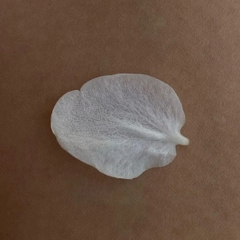 A cover of "Nature" cluster. The owner is maykim. The cluster consists of 2 elements.