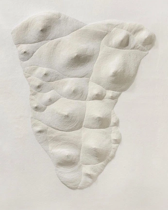 A cover of "?" cluster. The owner is rareorchid. The cluster consists of 1 element.