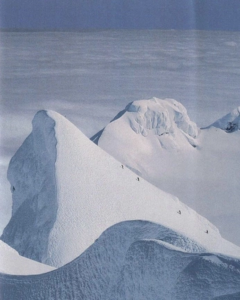 A cover of "Snow" cluster. The owner is brous. The cluster consists of 8 elements.