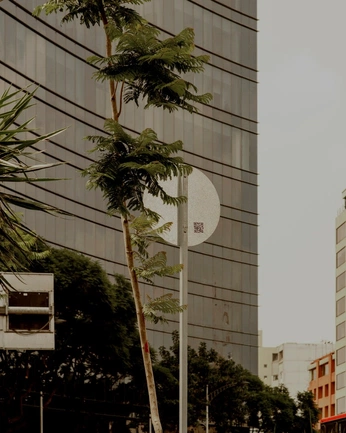 A cover of "SUMMER SUN" cluster. The owner is nbecks. The cluster consists of 47 elements.