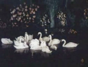 A cover of "Cygnet" cluster. The owner is saffronavenue. The cluster consists of 34 elements.