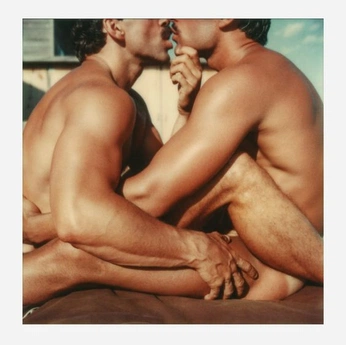 A cover of "Vintage" cluster. The owner is bottom. The cluster consists of 233 elements.