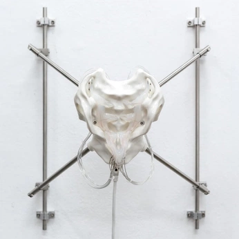 A cover of "embrillon" cluster. The owner is chantoiseau. The cluster consists of 26 elements.