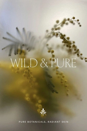 A cover of "backdrops" cluster. The owner is sophiameek. The cluster consists of 13 elements.