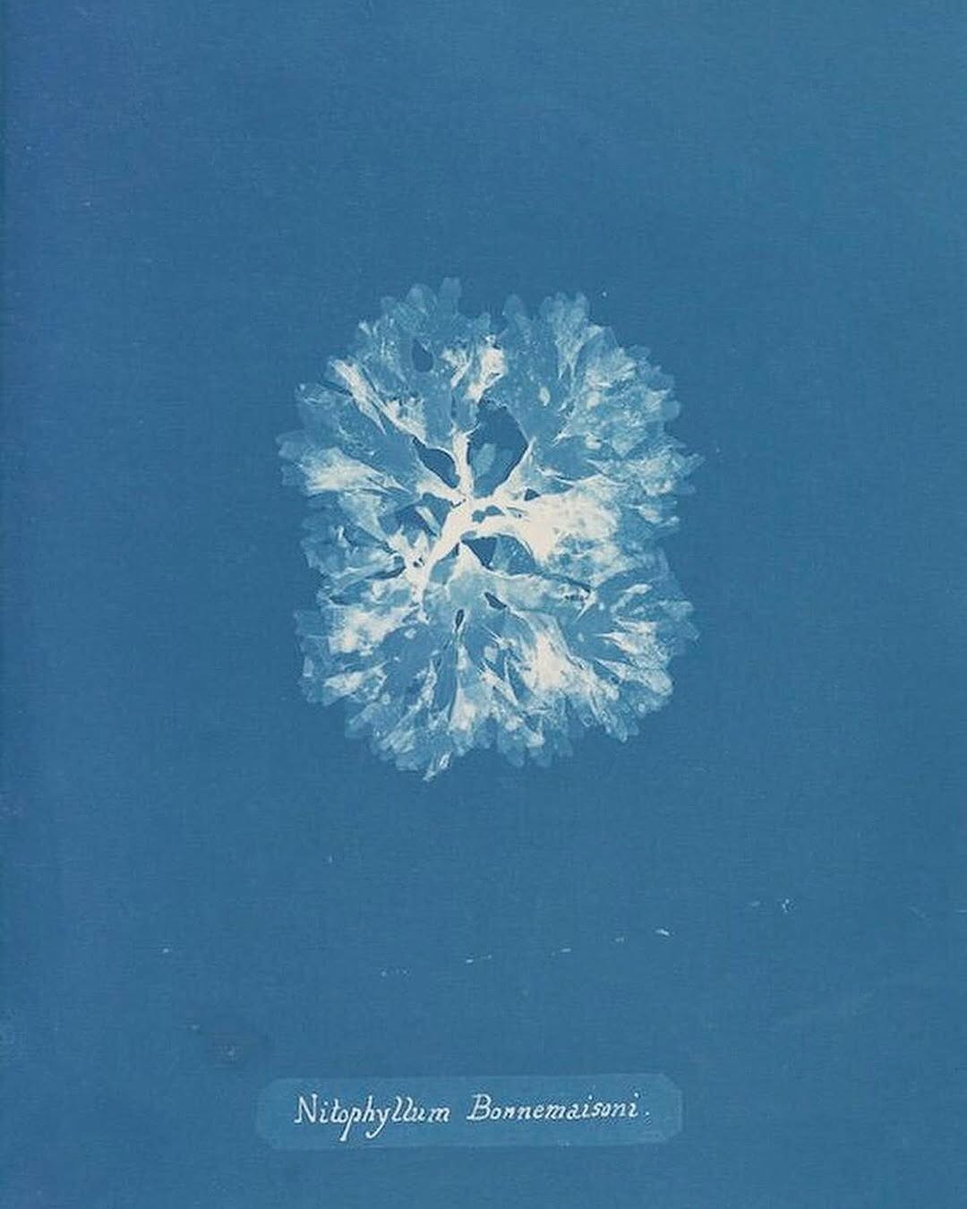 An Instagram carousel post added by ch1p666 on Mar 17, 2025. The author is @publicdomainrev.