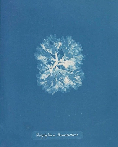 An Instagram carousel post added by ch1p666 on Mar 17, 2025. The author is @publicdomainrev.