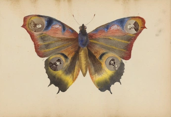 A cover of "insecto" cluster. The owner is adriicasro. The cluster consists of 8 elements.