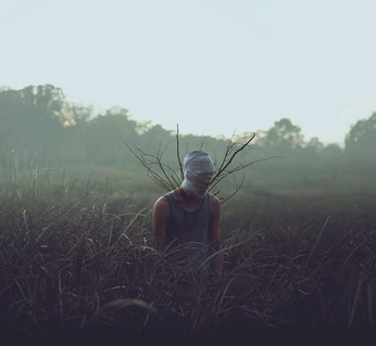 A cover of "Photography" cluster. The owner is rafaelnadai. The cluster consists of 3 elements.