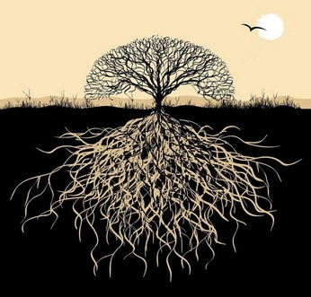 A cover of "Whats a cluster" cluster. The owner is homemindscape. The cluster consists of 16 elements.