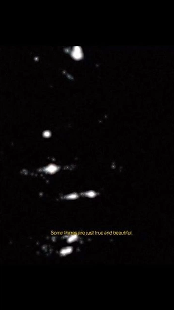 A cover of "noise" cluster. The owner is anemoia. The cluster consists of 3 elements.