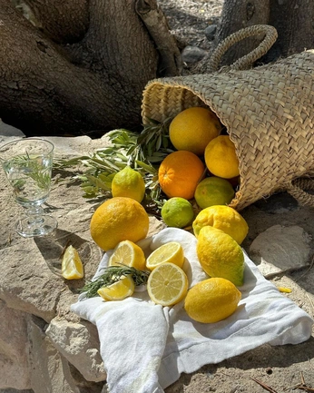 A cover of "Coma" cluster. The owner is joanmanso. The cluster consists of 1 element.