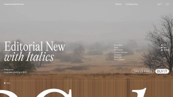 A cover of "simple website inspo" cluster. The owner is bajeijei. The cluster consists of 1 element.