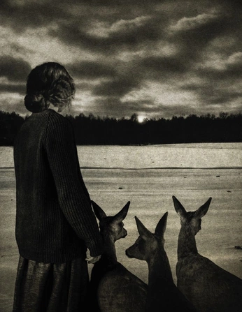 A cover of "Earth" cluster. The owner is joshuahanes. The cluster consists of 237 elements.