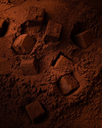 A cover of "Brand PeTale" cluster. The owner is sofa.art. The cluster description is "moodboard & imagery". The cluster consists of 31 elements.