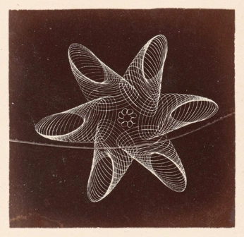 A cover of "shapes" cluster. The owner is nicolehsing. The cluster consists of 21 elements.