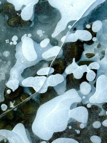 A cover of "Beneath" cluster. The owner is yhua11. The cluster consists of 41 elements.