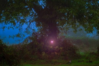 A cover of "Desmond (F.O.M)" cluster. The owner is skylarsblue. The cluster description is "Fields of Mistria ❀ “A simpler life is what I want.”". The cluster consists of 14 elements.