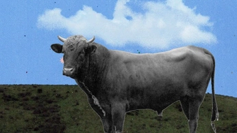 A cover of "EC12" cluster. The owner is roberto. The cluster consists of 2 elements.