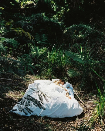 A cover of "ishoo — nature" cluster. The owner is lucixel. The cluster consists of 1 element.