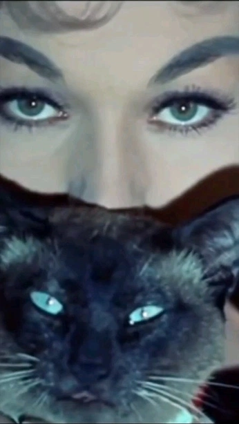 A cover of "Mystical" cluster. The owner is super8design. The cluster consists of 7 elements.