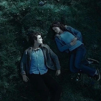 A cover of "twilight" cluster. The owner is elliereadbooks. The cluster consists of 5 elements.