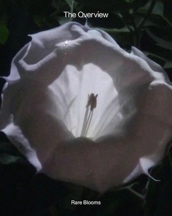 A cover of "poster inspo" cluster. The owner is erufu. The cluster consists of 89 elements.