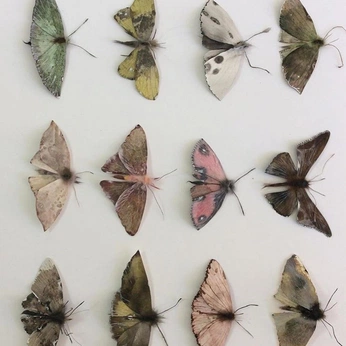 A cover of "My kind of spring." cluster. The owner is orchid.j. The cluster consists of 22 elements.