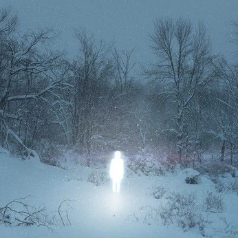 A cover of "NATURE" cluster. The owner is crazychaos. The cluster consists of 38 elements.