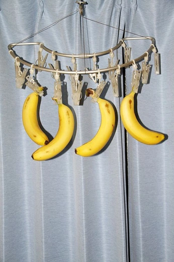 A cover of "JJ P2 Cred" cluster. The owner is georgw. The cluster consists of 55 elements.