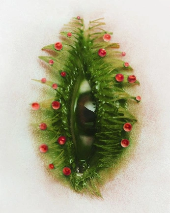 A cover of "datavis" cluster. The owner is vigaba. The cluster consists of 9 elements.