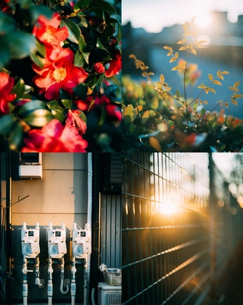 A cover of "街拍" cluster. The owner is plutonlu. The cluster consists of 19 elements.