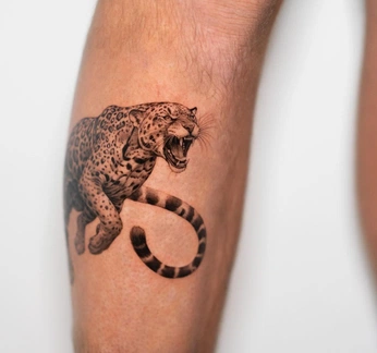 A cover of "permanent art" cluster. The owner is morganmclain. The cluster consists of 1 element.