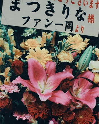 A cover of "。" cluster. The owner is zoe104. The cluster consists of 80 elements.