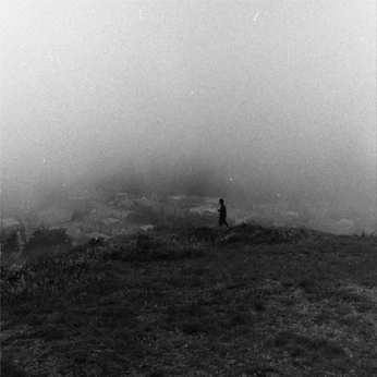 A cover of "Wraithwood" cluster. The owner is shayester1. The cluster consists of 15 elements.