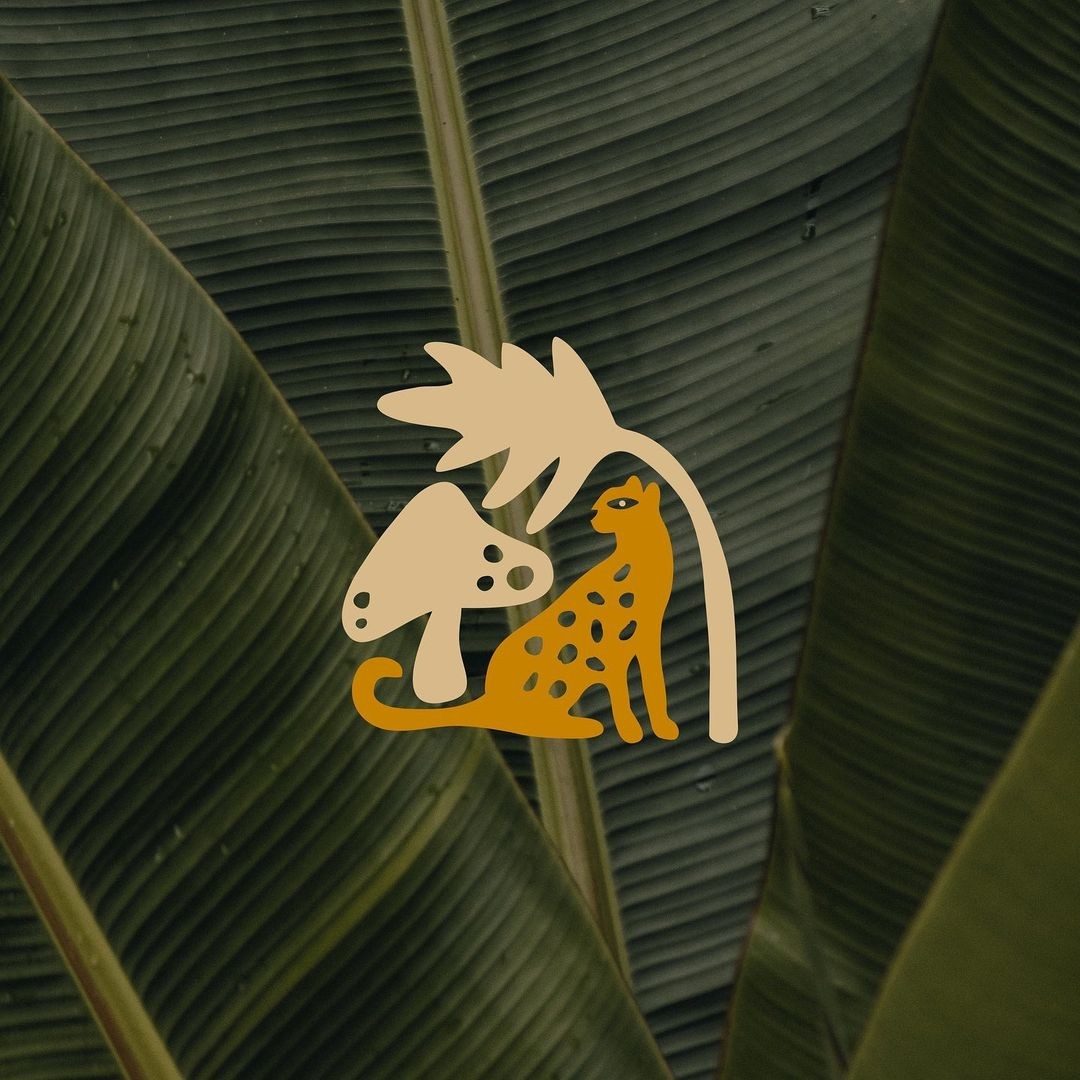 An Instagram  post added on Mar 25, 2022. The author is @dr.green_tulum. May present: art, font, hood, beak, wing.