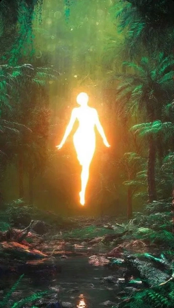 A cover of "Sinopoli's" cluster. The owner is mdolatowski. The cluster consists of 30 elements.