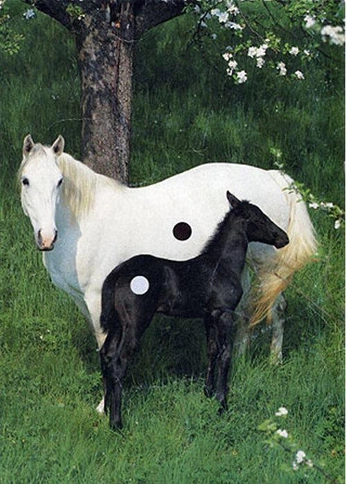 A cover of "photo inspo" cluster. The owner is kakakcastro. The cluster consists of 18 elements.