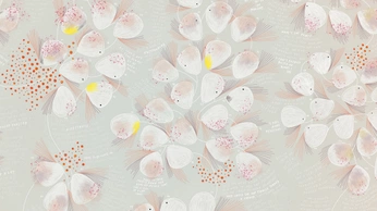 A cover of "infografica" cluster. The owner is annabosetti. The cluster consists of 1 element.