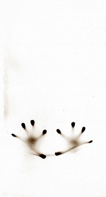 A cover of "Inspi" cluster. The owner is nozika. The cluster consists of 10 elements.