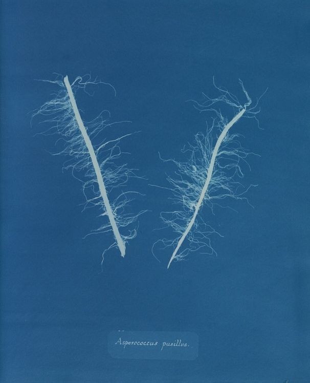 An Instagram carousel post added by ch1p666 on Mar 17, 2025. The author is @publicdomainrev.