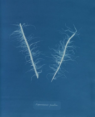 An Instagram carousel post added by ch1p666 on Mar 17, 2025. The author is @publicdomainrev.