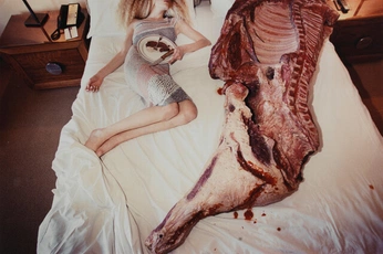 A cover of "proyectTtPOoo" cluster. The owner is mirandiuxj. The cluster consists of 56 elements.