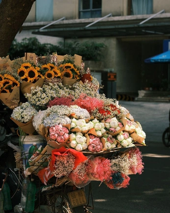 A cover of "pretty" cluster. The owner is olivfka. The cluster consists of 36 elements.