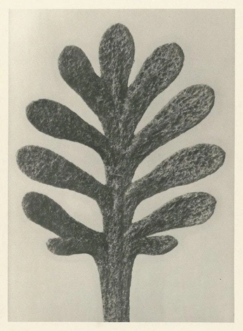 A cover of "Shapes" cluster. The owner is tomaz. The cluster consists of 8 elements.