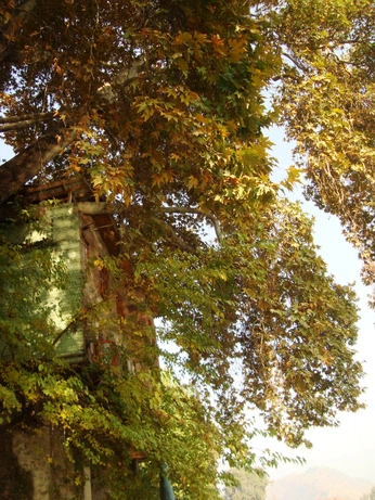 A cover of "Existence" cluster. The owner is choiisai. The cluster consists of 8 elements.